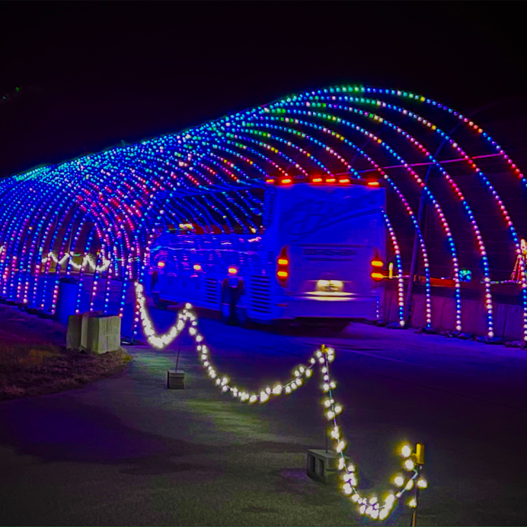 Nite Lites Christmas Lights Show - An experience unlike any other